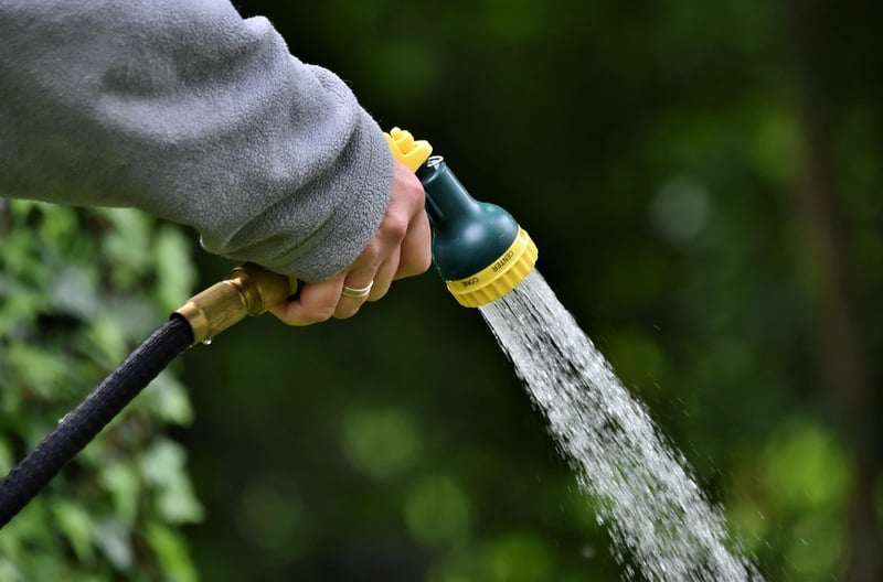 Self-Watering Planters